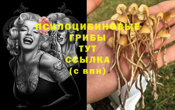 mdma Богородицк
