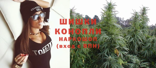 стафф Богородск